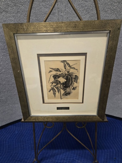 FRAMED 1960 FINCH AND SUNFLOWER ART BY ESTER RATONI NAGY - 19" X 21"