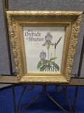 FRAMED PRINT - THE ORCHIDS BHUTAN