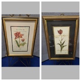 SET OF DECORATIVE FRAMED FLORAL PRINTS- RIGHT: HAND COLORED LES FLUERS