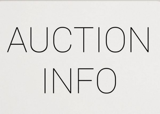 INFORMATIONAL LOT