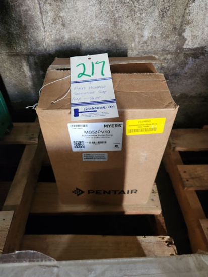 MYERS SUMP PUMP 1/3 HP - MS33PV10