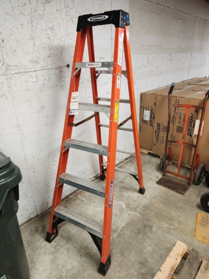 6' WERNER STEP LADDER