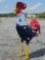6ft USA Rooster