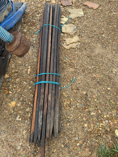Tomato Stakes bundle