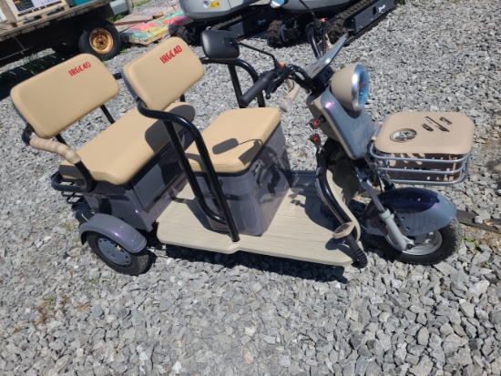 Mini Golf Cart