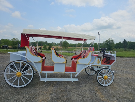 Electric Carriage