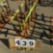 Lot of (6) Scaffolding Leveling Screw Jacks