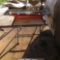 Norton Clipper Wet Tile Saw