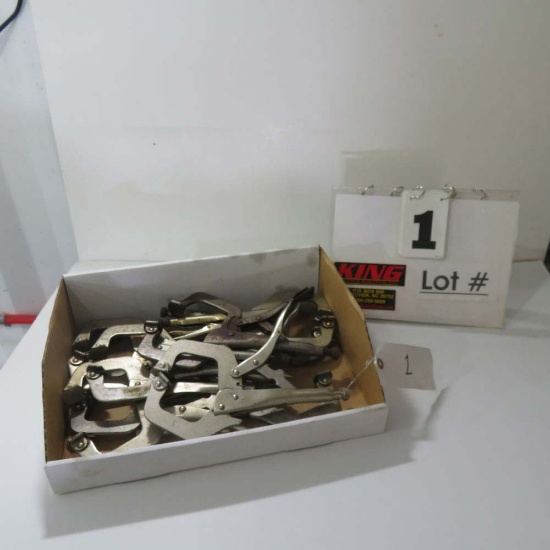 (10) Pairs of Vise Grip Clamps