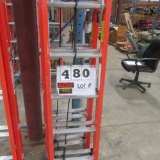 40' Werner Fiberglass Extension Ladder