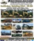 FastTrack / Fast Track View Auction Catalog