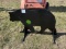 SMALL BEAR TARGET