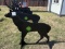 BUCK TARGET