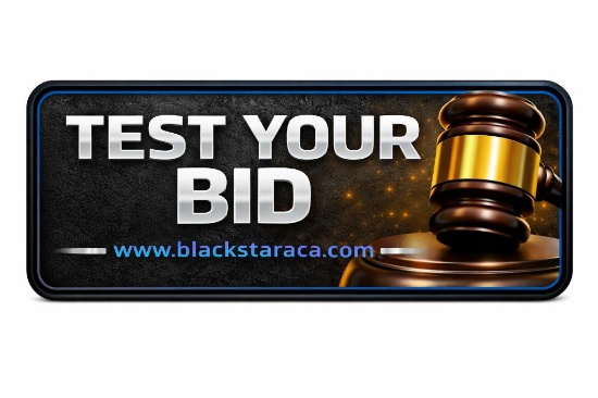 TEST YOUR BID BUTTON