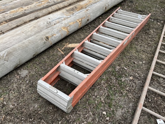 Werner Step Ladder