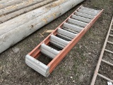 Werner Step Ladder