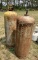 (2) Acetylene Tanks