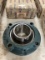 AMI UCFS214 Bearings