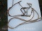 Roller bit with Head Stall and Reins