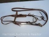 Shanks Bit, head stall and reins