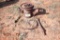 Allis Chalmers pump
