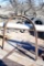 Bows for wagon Canopy