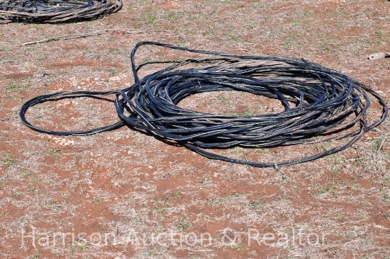 Hose