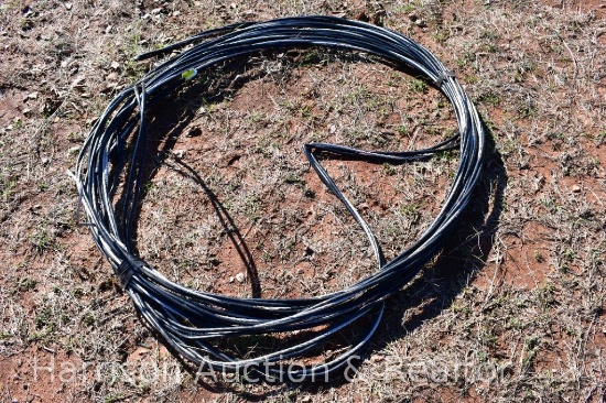 Hose