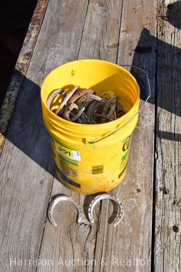 Bucket of horse shoes