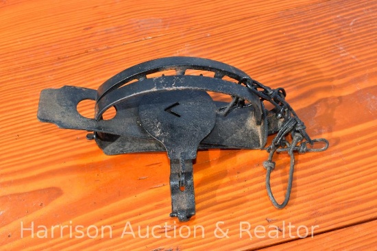 No 14 ONEIDA Live Trap