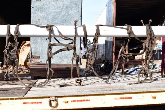 Driving Harness