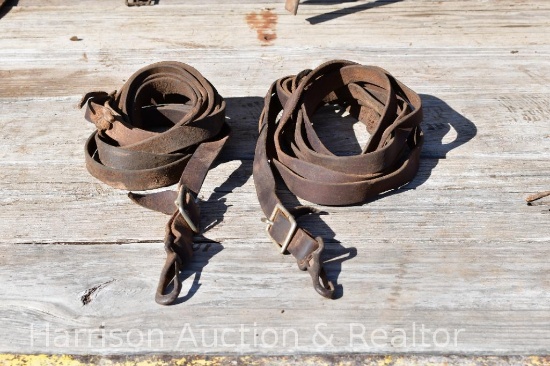 Single horse driving reins