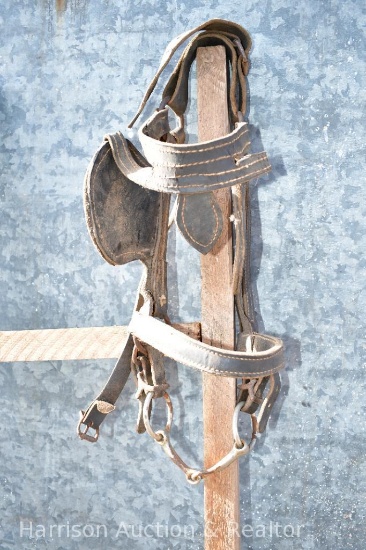 Bridal with blinders and snaffle bit