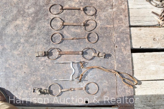 6 assorted bits