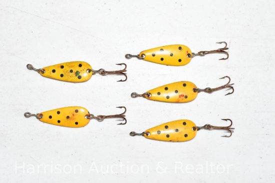 Set of 5 Fishing Spoon Lures