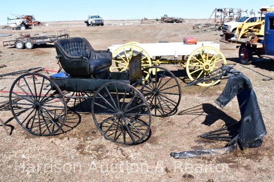 Horse Drawn Doctors Buggy