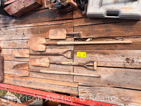 Assortment of Shovels