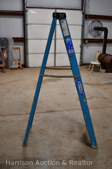 Werner 6-10ft Ladder