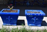 2 blue concrete planters