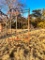 8FT HAY RING
