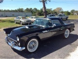 1955 Ford Thunderbird Coupe.Remains one of the most collectable 50's cars.T