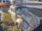 1969 Volkswagen Beetle Coupe. Known as #69snail. 1600 CC with auto shift. A