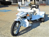 Custom 2002 V-Cycle Trike done by The Trike Shop and Roadsmith Trike Conver