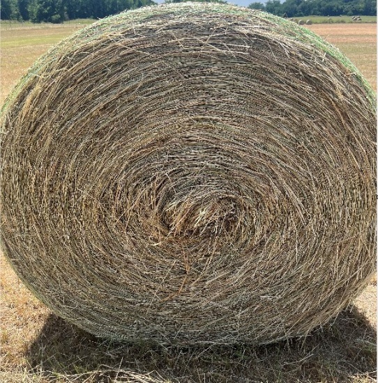 Kline Grass Round Bales