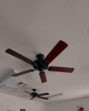 Ceiling Fan