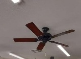 Ceiling Fan