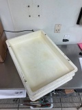 large pizza dough tray