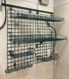 Green shelf