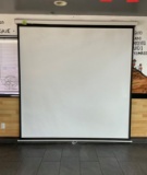 Projector Screen