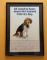 Puppy picture Wall Decor